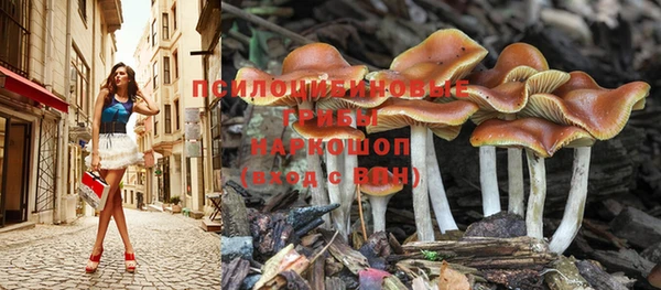 apvp Баксан