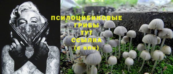 трава Балабаново