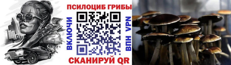 Псилоцибиновые грибы Magic Shrooms  купить наркотик  Теберда 